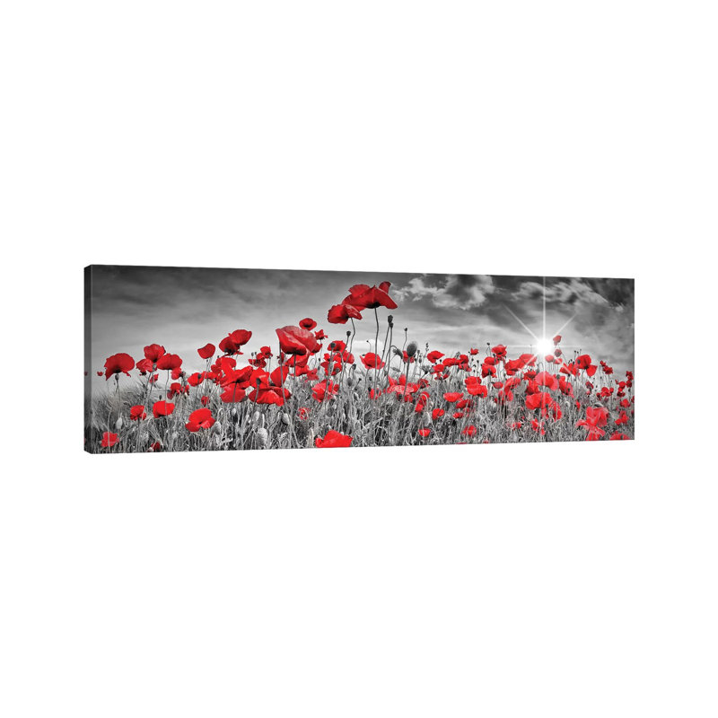 "Champ de coquelicots" par Melanie Viola, reproduction d’art graphique panoramique, Toile tendue, H 16 po x l 48 po x 1,5 po