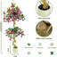 150cm Plant