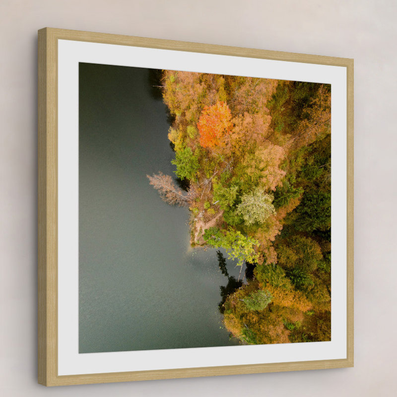 Single Picture Frame Print, 41 cm H x 41 cm W x 3.81 cm D