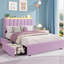 Full Size Boucle Upholstered Platform Bed Frame with Wavy Headboard and Storage Bookcase- 2 Drawers- No Box Spring Needed- Pink Chic Storage Solution-1133066460-1133066466