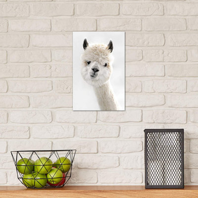 Peeky Alpaca by Monika Strigel - Wrapped Canvas Print