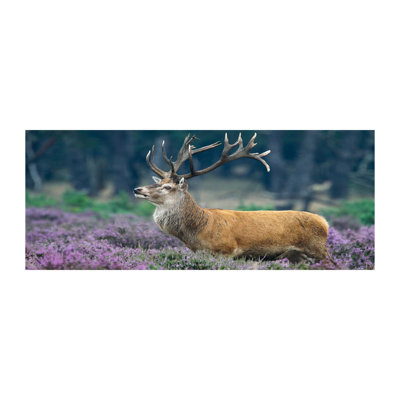 Deer Among Lavender - Wrapped Canvas Print