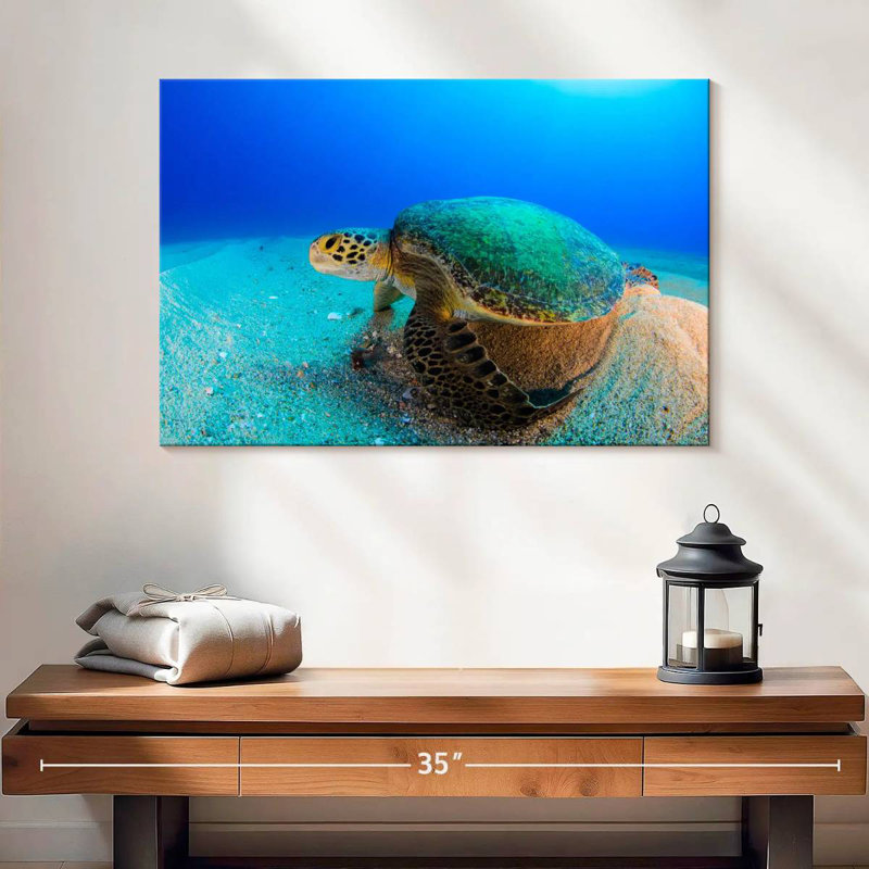 Brampt Resting Sea Turtle, 16" H x 24" W