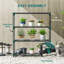 Plant Stand