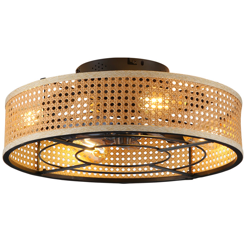 Ventilateur de plafond 19,6 po avec ensemble d'éclairage Tamarea