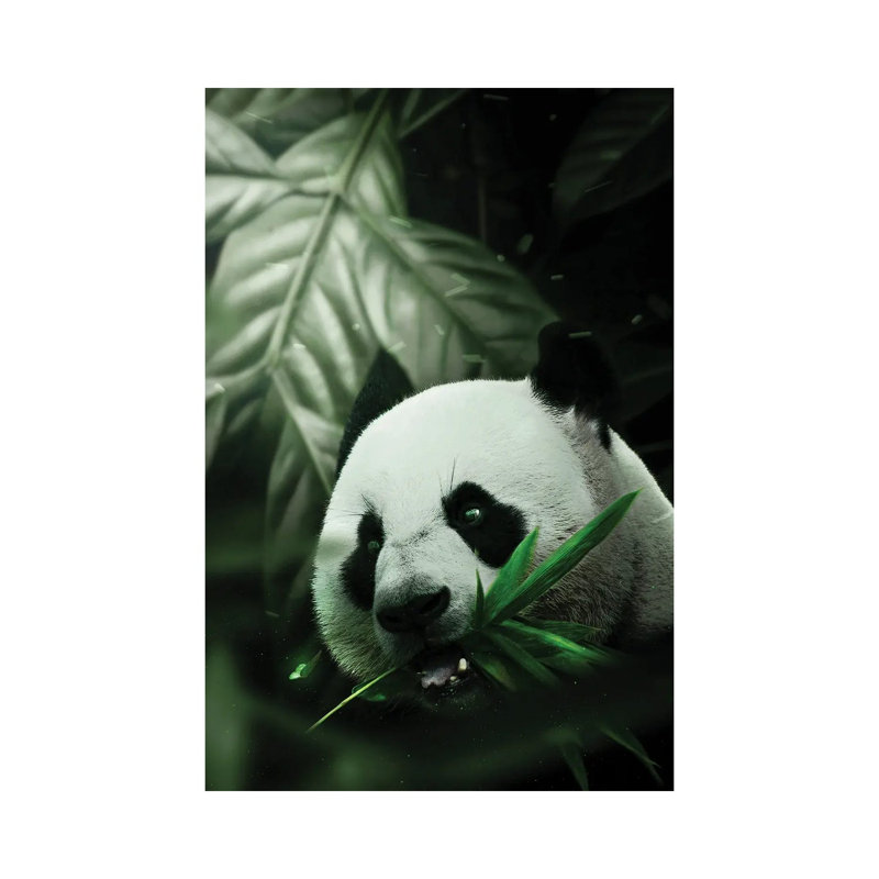 Panda by Milos Karanovic - Wrapped Canvas Print, 30.48 cm H x 45.72 cm W