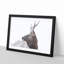 Young Elk - Picture Frame Painting Print-56739596-56739597