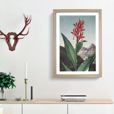 Indian Reed Flower by R.J. Thornton - Picture Frame Painting Print