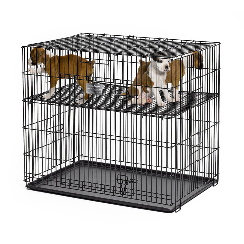Chenil en plastique pour chiot, Petit (H 30 po x l 24 po x P 36 po), Grille d'étage de 1/2 po