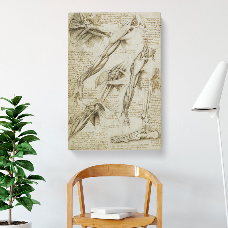 Human Anatomy Vol.1 by Leonardo Da Vinci - Wrapped Canvas, 60cm H x 40cm W x 3cm D