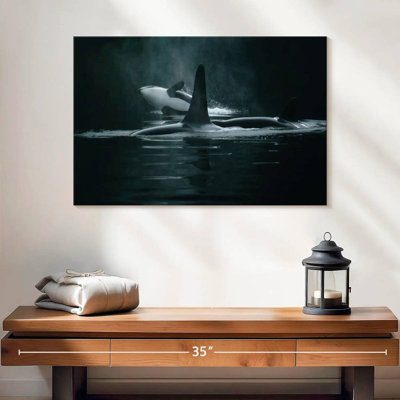 Brampt Swimming Orca Whales