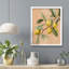 Citrons jaunes - reproduction d'un seul cadre photo-98266915-98266920