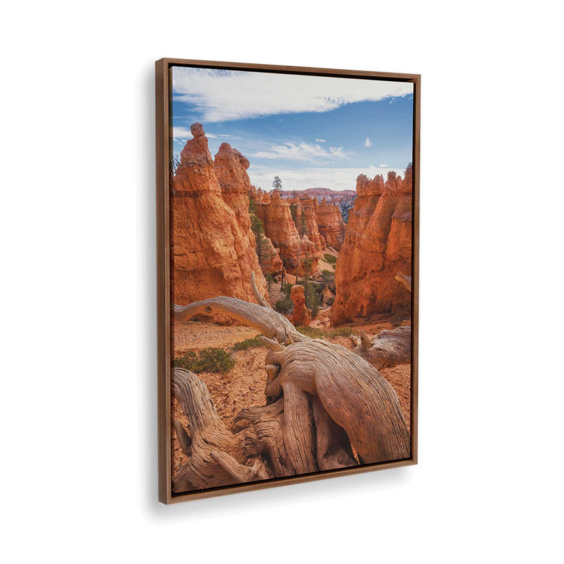 «Canyon Weathered Wood» par Martin Podt, reproduction d'art, L 20 x H 30, Brun, Toile avec cadre
