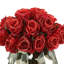 Dried Rose Arrangement in Wavy Glass Vase-187263748-187263751