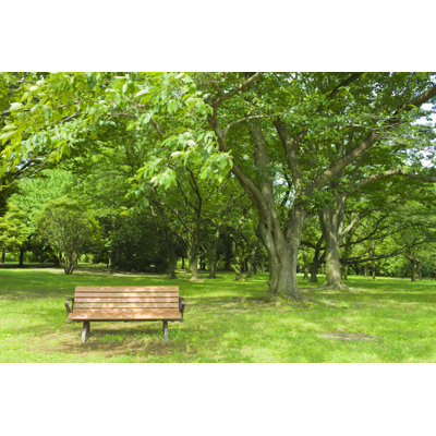 " Park Bench " by Wat