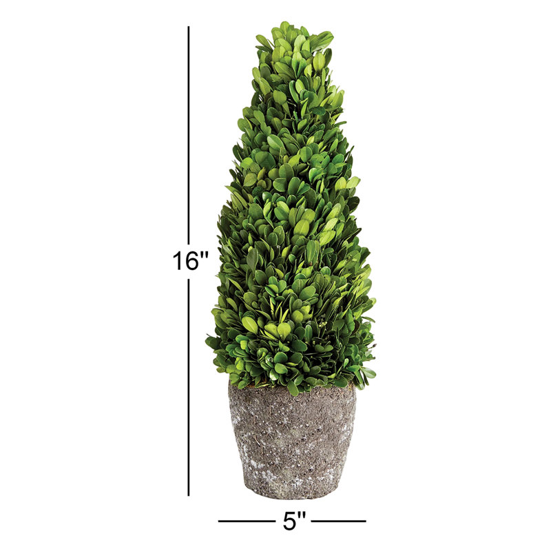 Alby Faux Plant, 16" H x 5" W x 5" D
