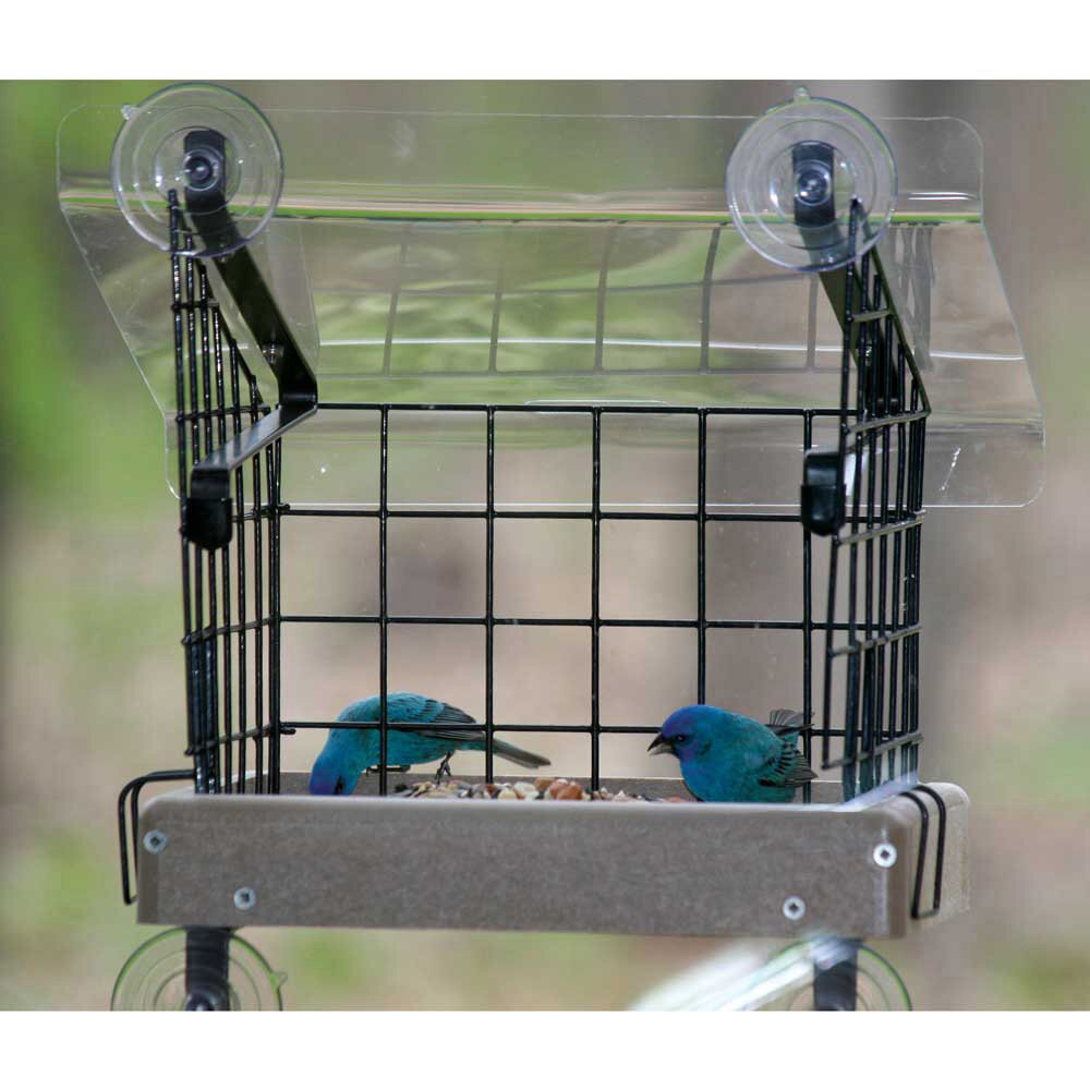 Mangeoires d'oiseaux: Type de fixation - Pour fenêtres - Wayfair Canada