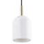 Rajeev 1 - Light Cylinder Pendant