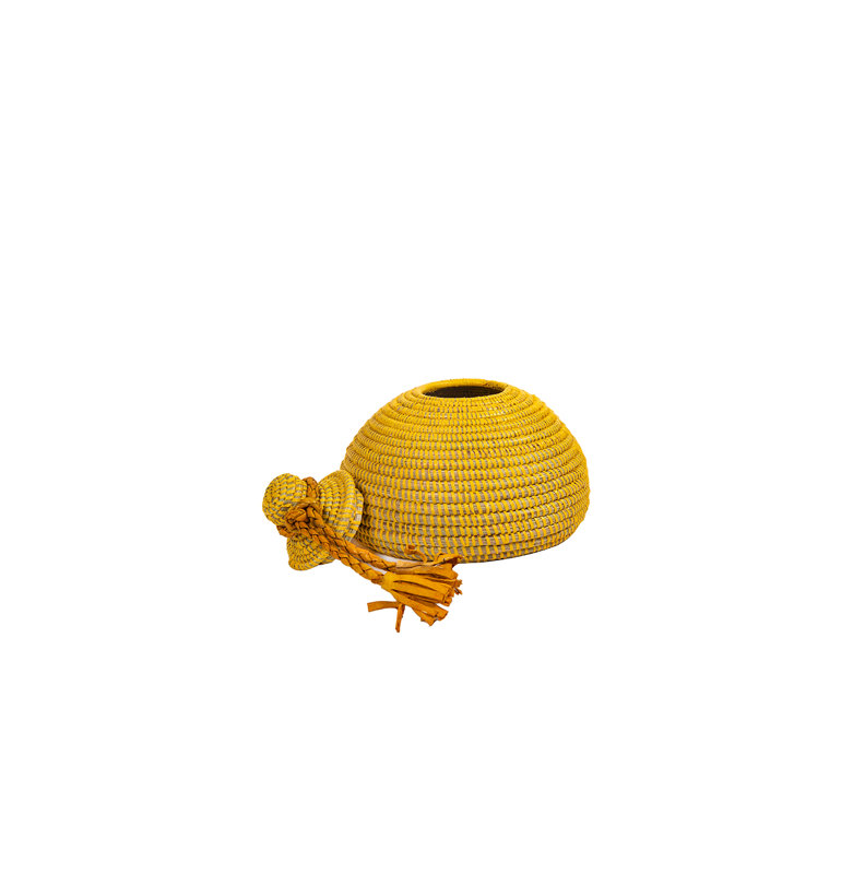 Panier Tolani, Jaune