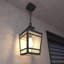 Duke Outdoor Pendant Light with Clear Glass & Metal Frame