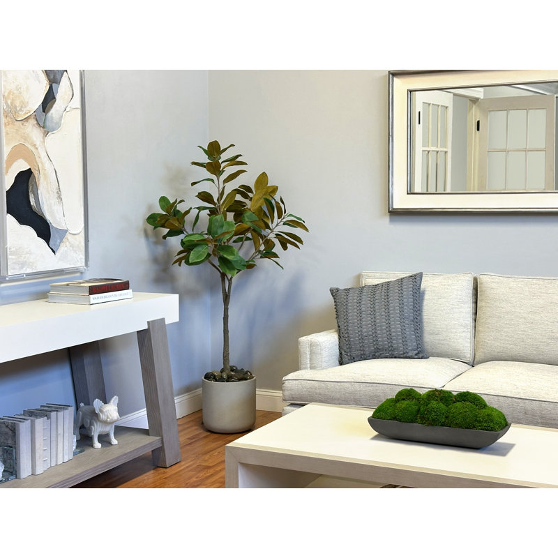 Faux Magnolia Tree in Fiberstone Planter
