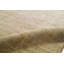 Oriental Area Rug in Beige