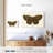 Antique Butterfly II-107923787