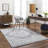 Oriental Indoor / Outdoor Rug-1641133877