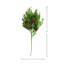 Norfolk Spruce Juniper Spray