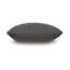 Pattinson Lumbar Pillow Cover & Insert