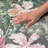 Premium Machine Washable Dream Shag ADS201 Floral and Leaves Rug-1586791940