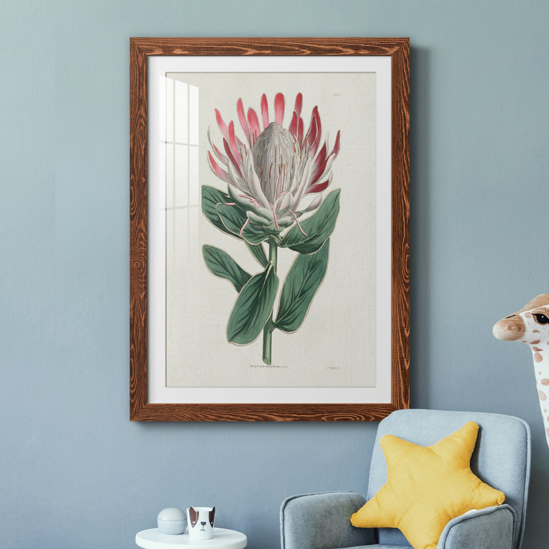 Protea N13 - Peinture encadrée, H 31,5 po x l 23,5 po x P 1,5 po, Érable