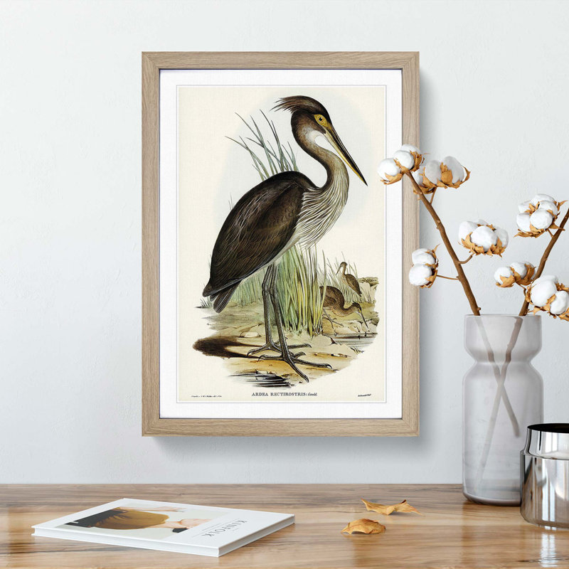 Great-Billed Heron by Elizabeth Gould - Picture Frame Painting Print, 48cm H x 36cm W x 2cm D, Oak Framed