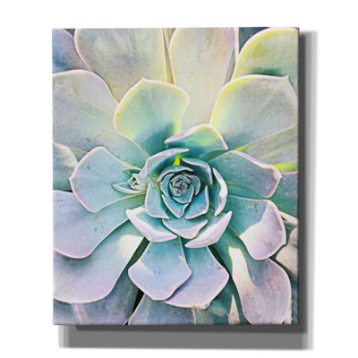 «Unique Succulent» par Irena Orlov, impression sur toile tendue