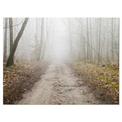 «Straight Forest Road in Fall», reproduction de photo sur toile tendue