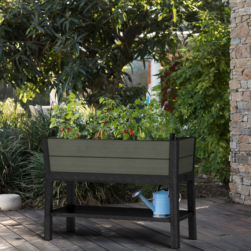 Keter Darwin Elevated Garden Bed - Green