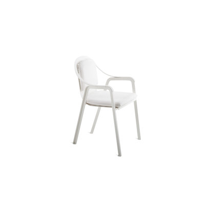 Tline Metal Outdoor Lounge Chair , Sunbrella® Cushions Included