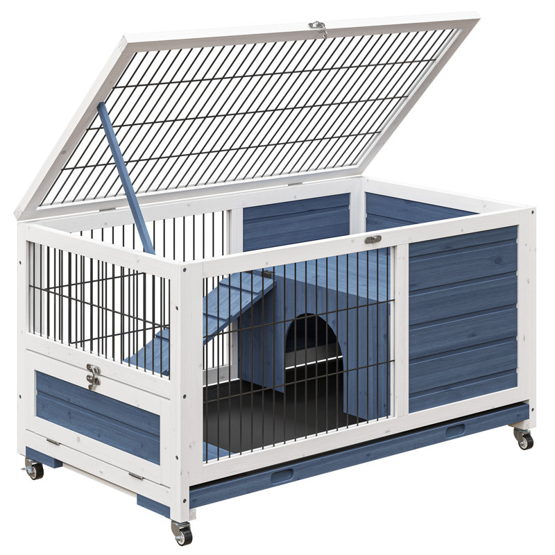 Cage à lapin mobile en bois massif avec rampe et plateau coulissant bleu, Blanc / Bleu