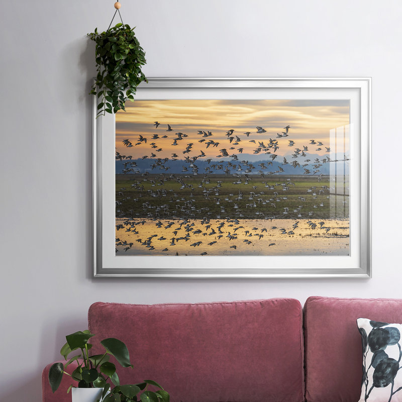 Sunset Flight - Matted and Framed Under Acrylic Glass, Large Living Room Wall Art, Silver, 30" H x 44" W x 1.5" D