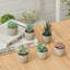 7.5 cm H Faux Chinese Money Plant