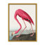 «Coastal Retreat Pink Flamingo II from Birds Of America» (1827) par John James Audubon-746573348-746573520-746573527
