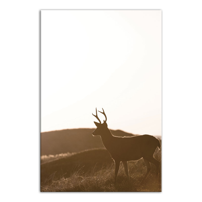 Morning Deer - imprimé, H 36 po x l 24 po x P 1,25 po, Toile tendue