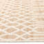 Sophie Trellis Area Rug in Ivory-217765102