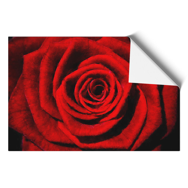 Red Rose Flower Vol.5 - No Frame Print, 21cm H x 30cm W x 0.1cm D