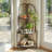 Zook Corner Bookcase