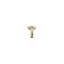 Single-Function Shower Arm-1984103439