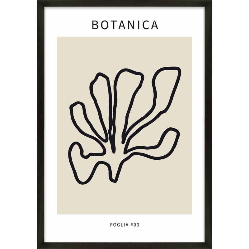 Bojan Foglia Botanica 1, impression de Romina Gadler, Papier avec cadre noir, H 20 po x l 14 po x P 1,25 po
