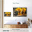 Huile de tournesol Yarlin-107683414