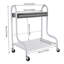 Chariot de transport portable pour spa