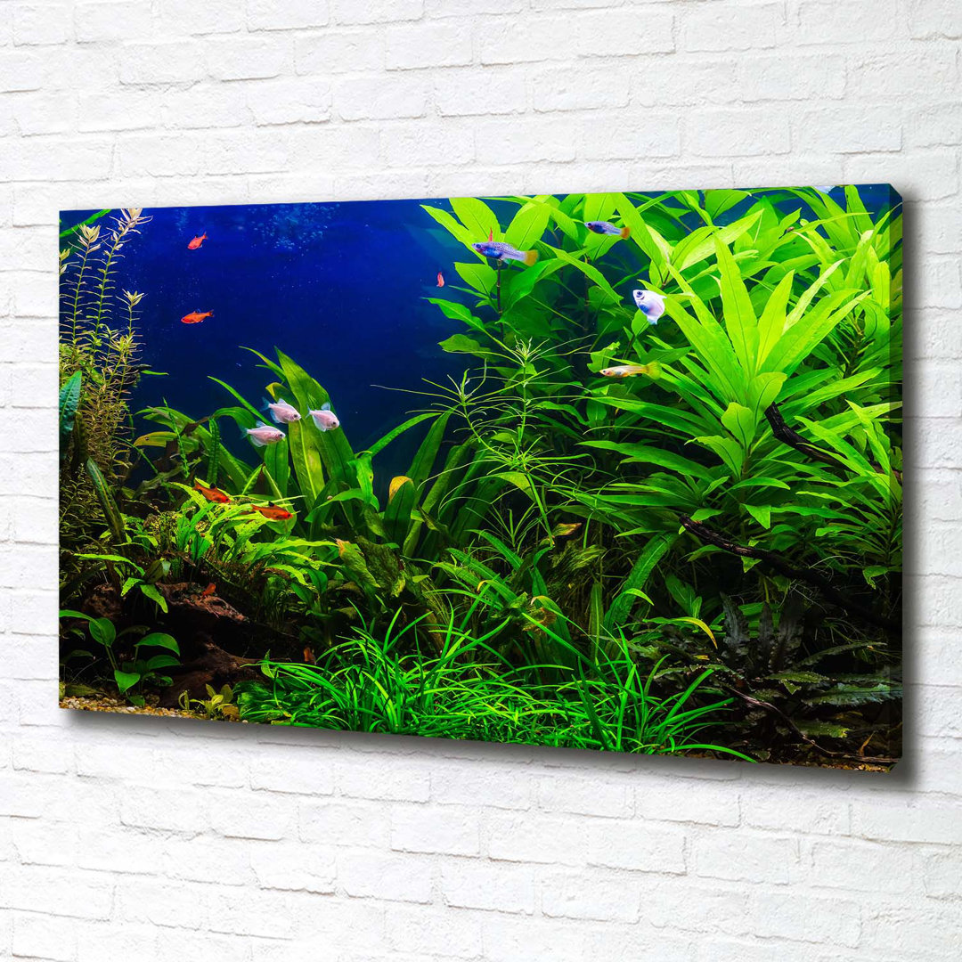 Leinwanddruck - Wandkunst - Drucke auf Leinwand - 100X70 Bildmotiv: Fische im Aquarium